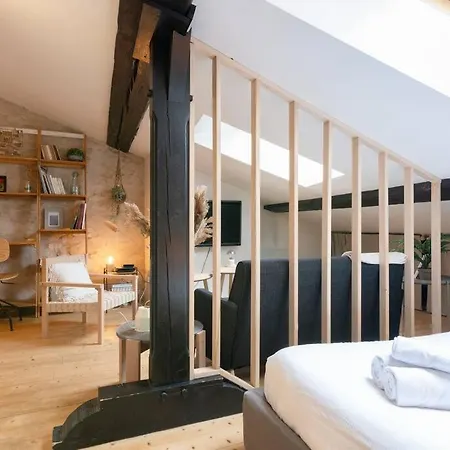 Appartement Le Cosy Du Pont Mouja Nancy