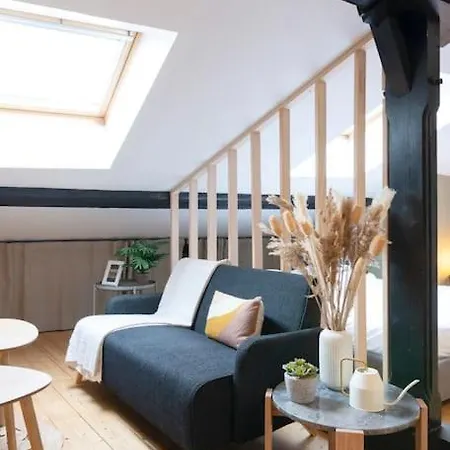 Appartement Le Cosy Du Pont Mouja Nancy